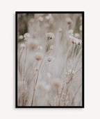 Flor en Campo