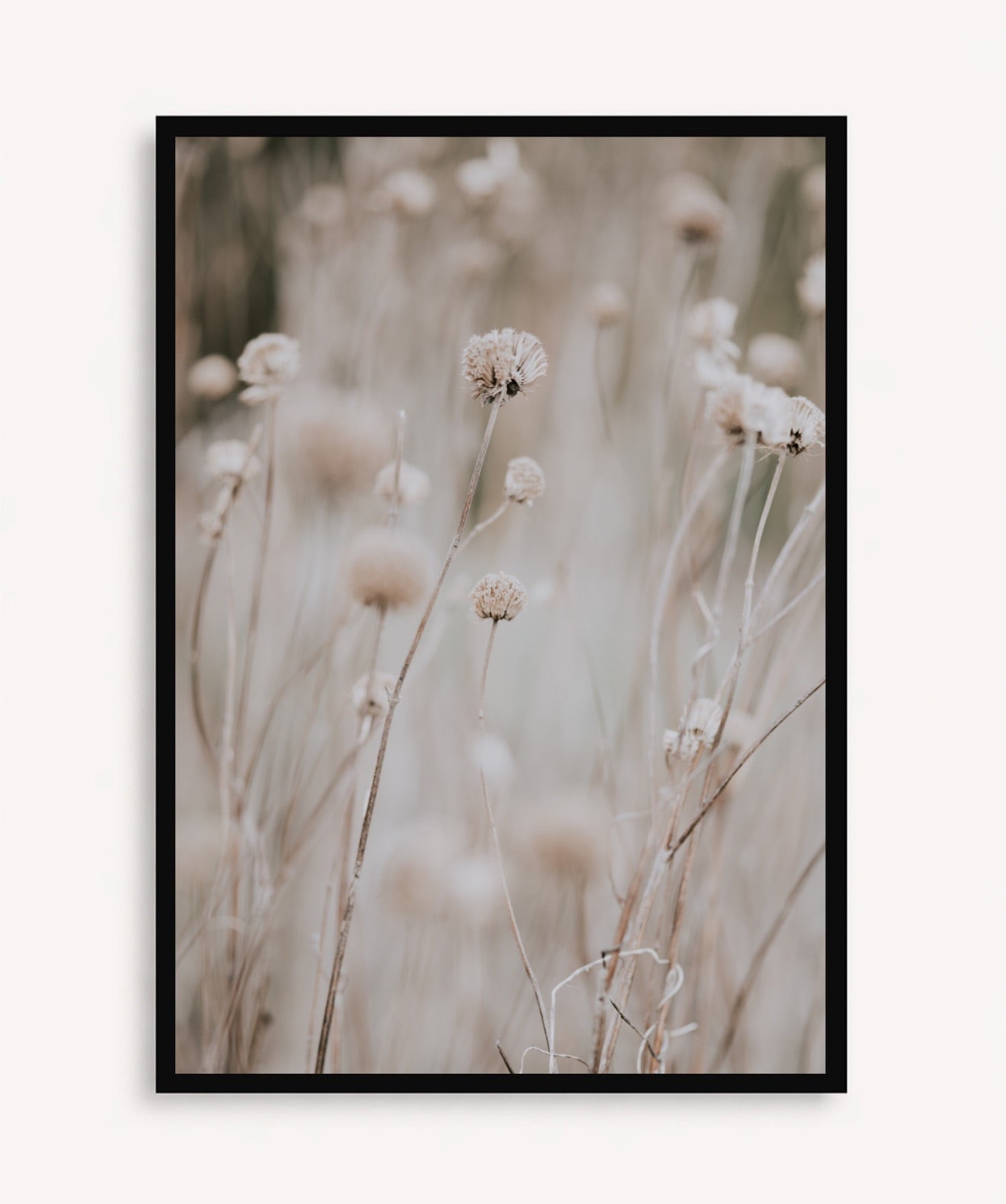 Flor en Campo