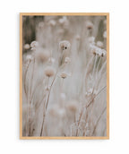 Flor en Campo