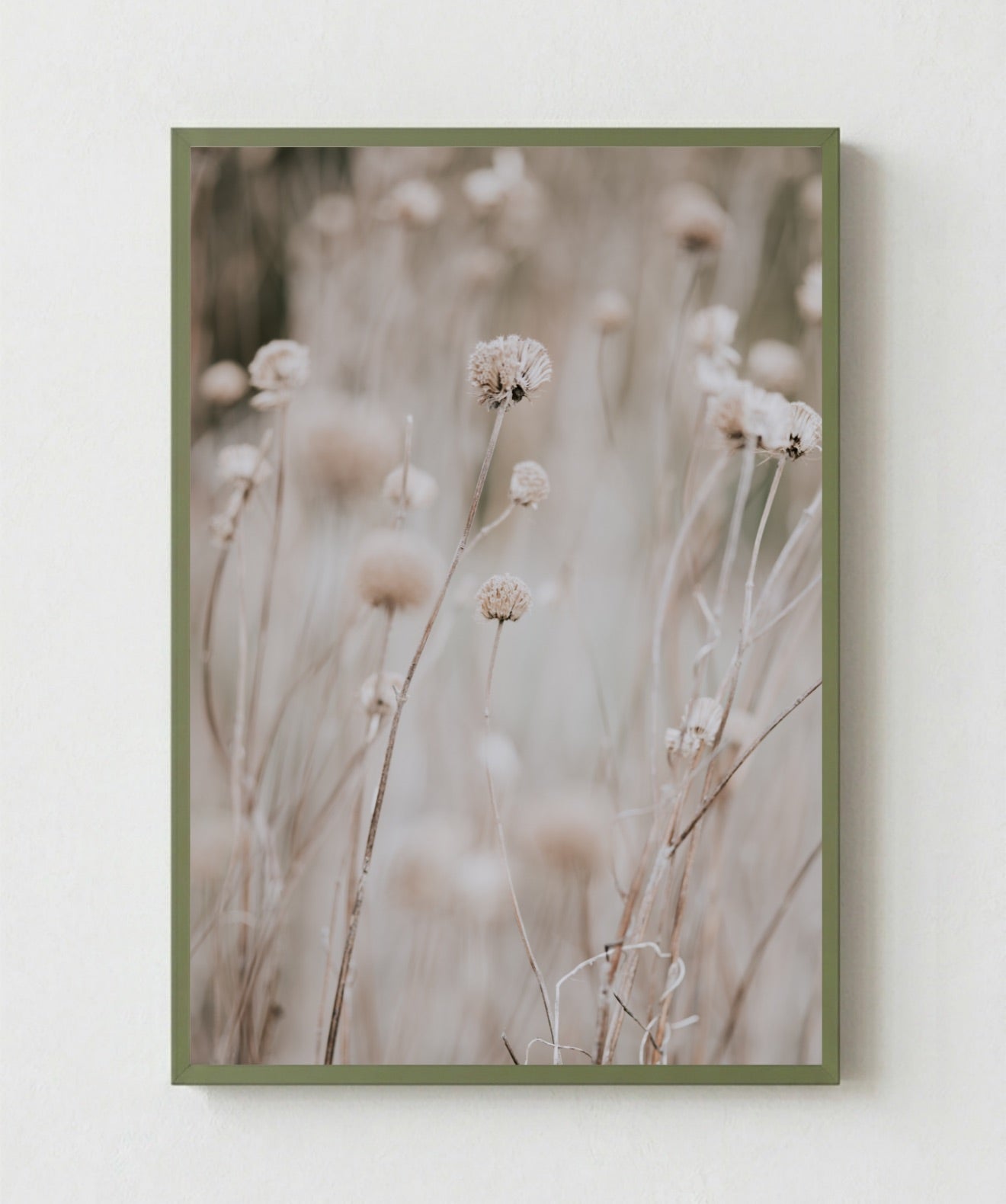 Flor en Campo