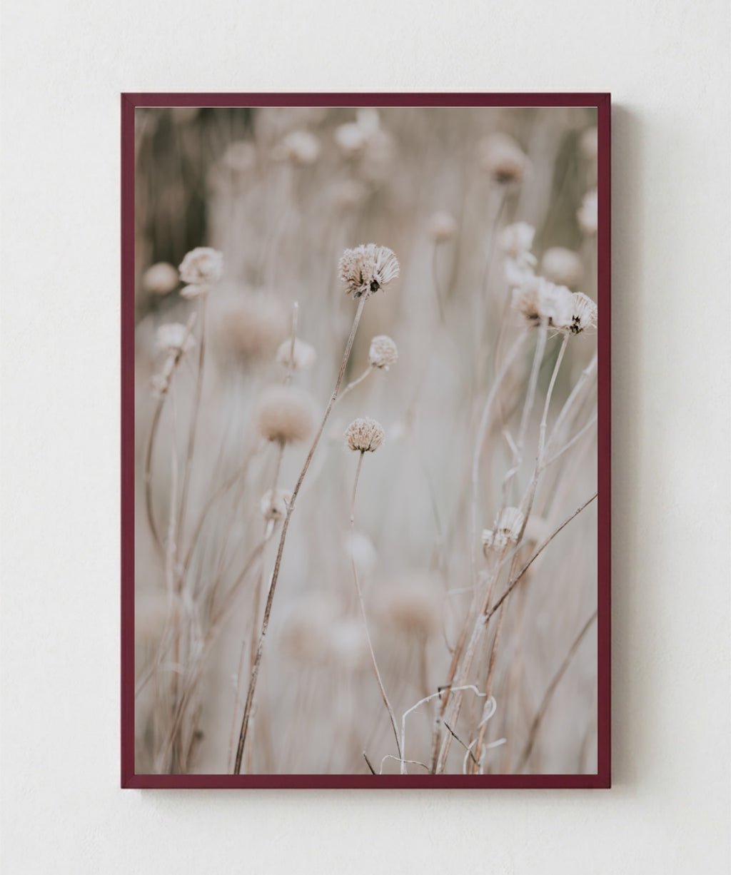 Flor en Campo