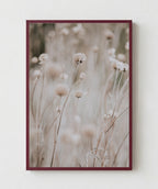 Flor en Campo