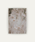 Flor en Campo