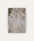 Flor en Campo