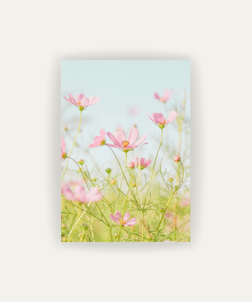 Flores Rosadas