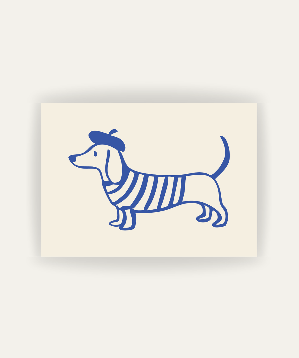 French Dachshund