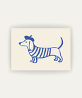 French Dachshund