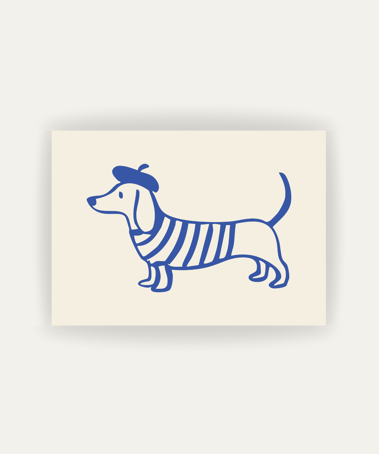 French Dachshund