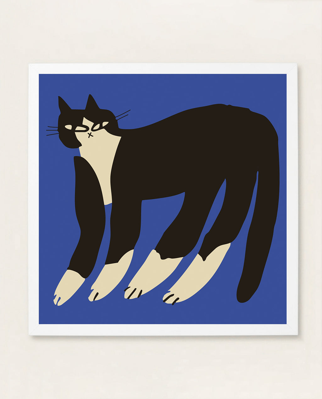 Gato Finx