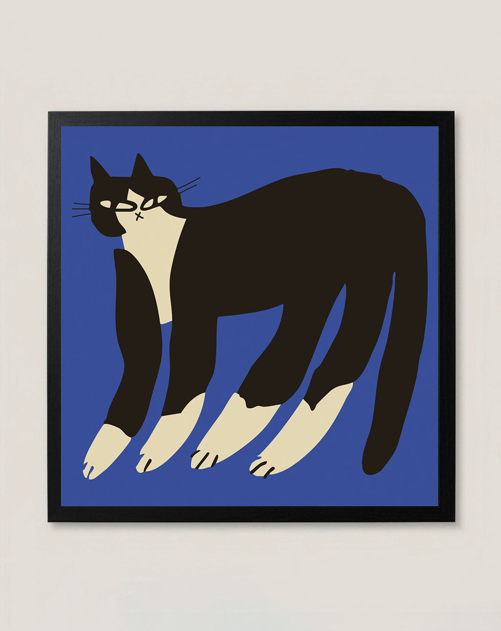 Gato Finx