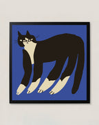Gato Finx