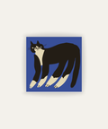 Gato Finx