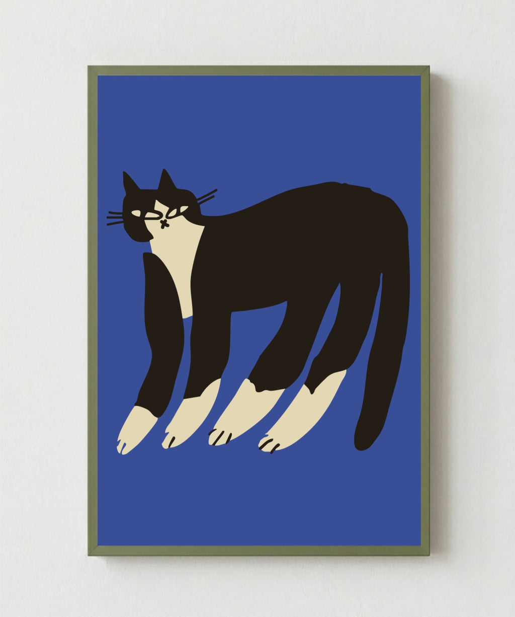 Gato Finx