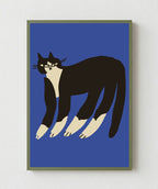 Gato Finx