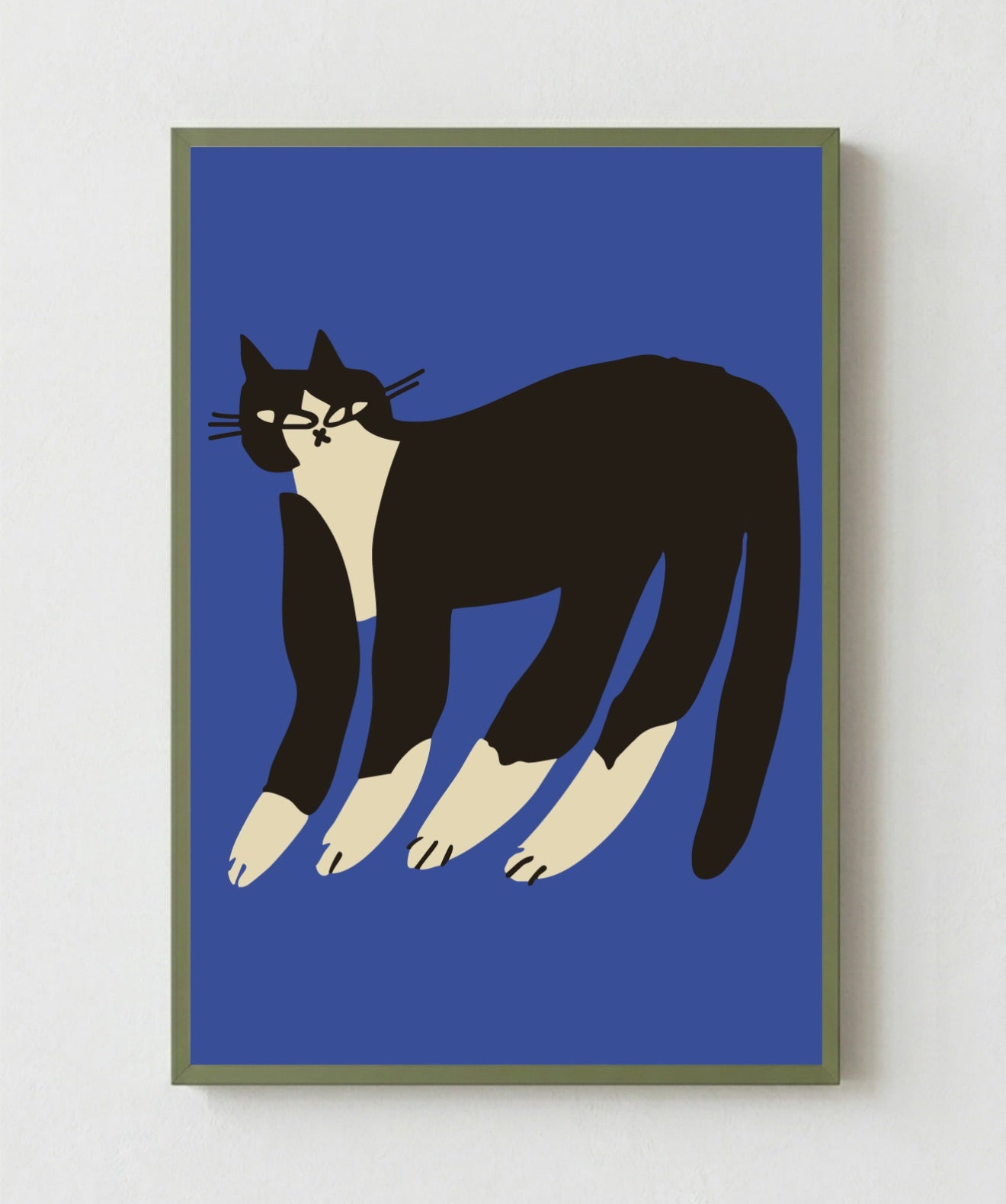 Gato Finx