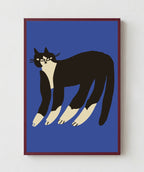 Gato Finx
