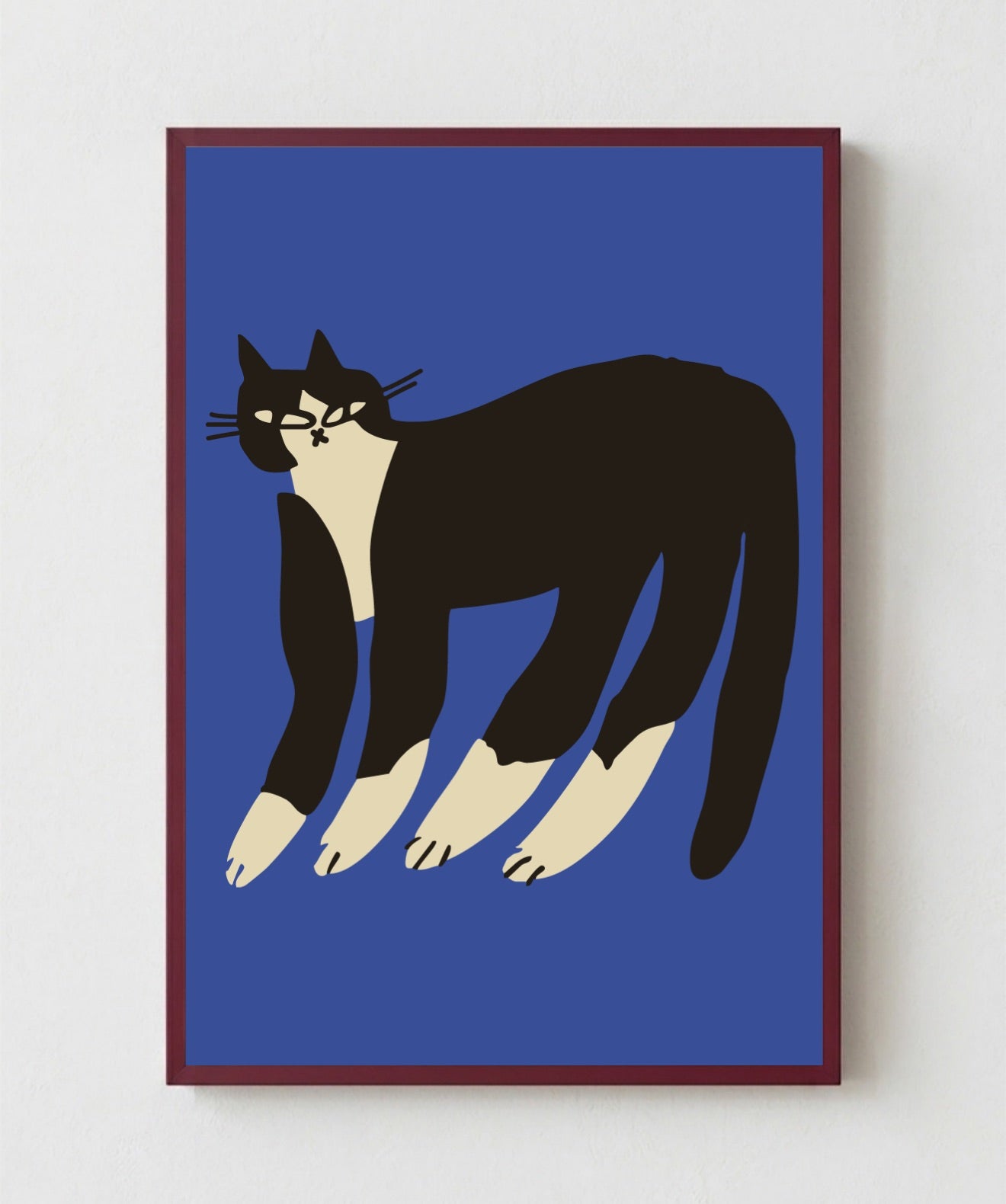Gato Finx
