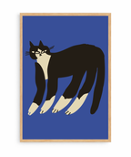 Gato Finx
