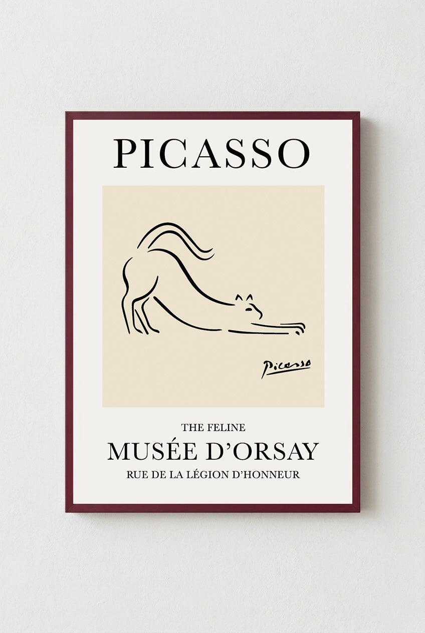 Felino Picasso