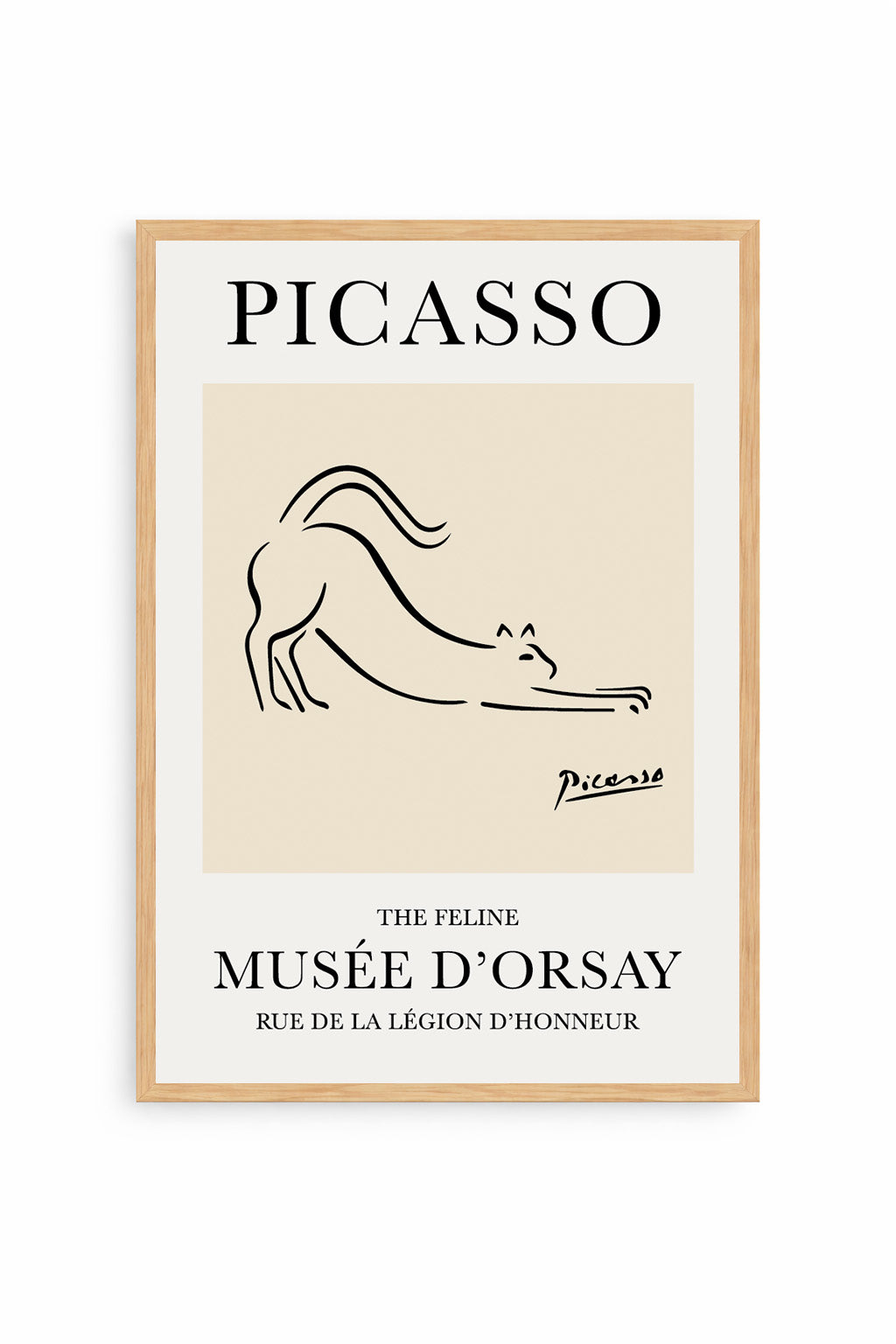 Felino Picasso