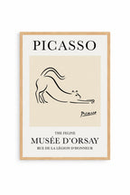 Felino Picasso