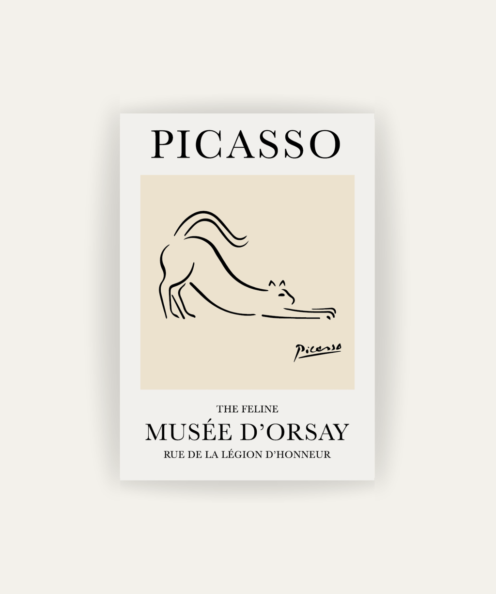 Felino Picasso