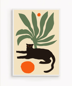 Gato Salvaje