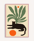 Gato Salvaje