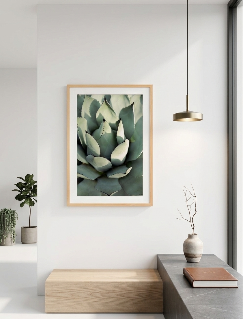 Agave