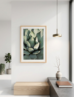 Agave