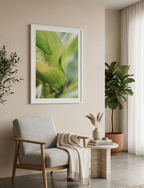 Calathea