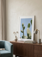 Opuntia