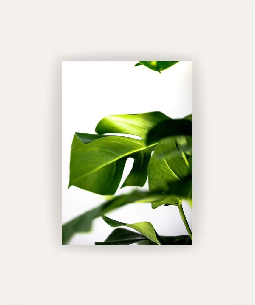 Greenery