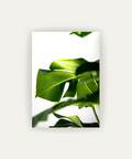 Greenery