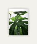Hoja de Selva