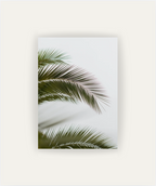 Hojas de Palmera