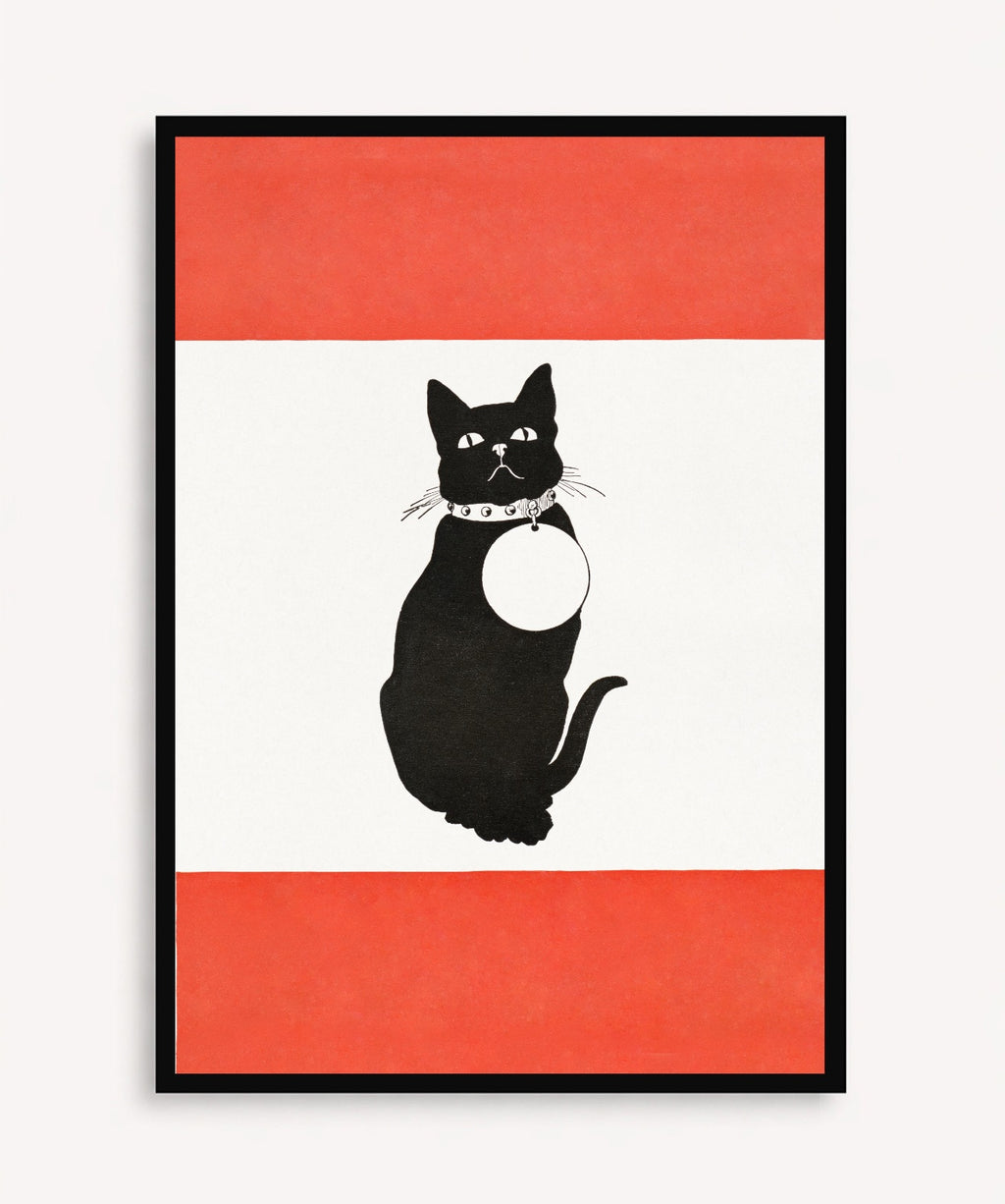Home Cat