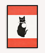 Home Cat