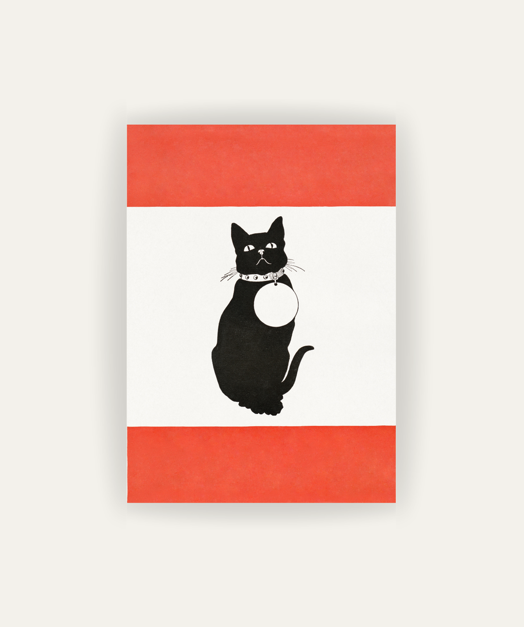 Home Cat