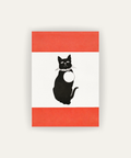 Home Cat