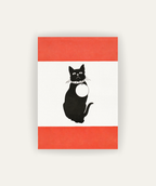 Home Cat