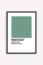 Malachite Green