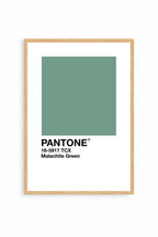 Malachite Green