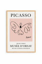 Mariposa Picasso