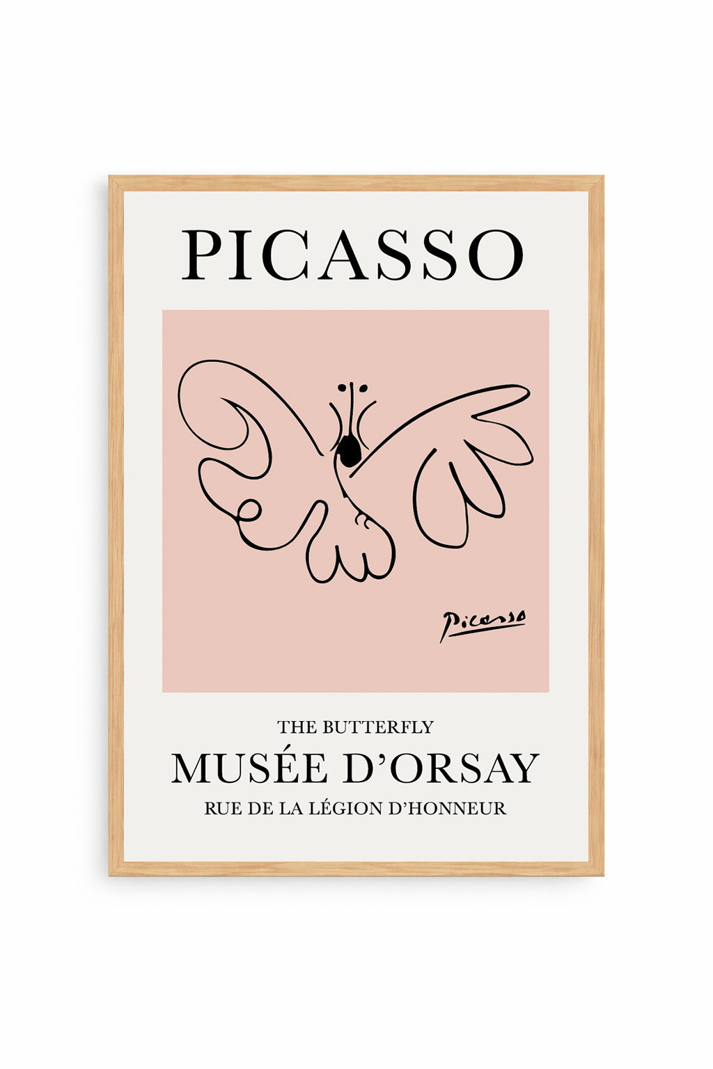 Mariposa Picasso