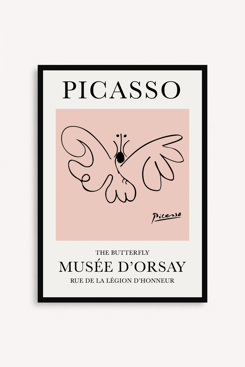Mariposa Picasso