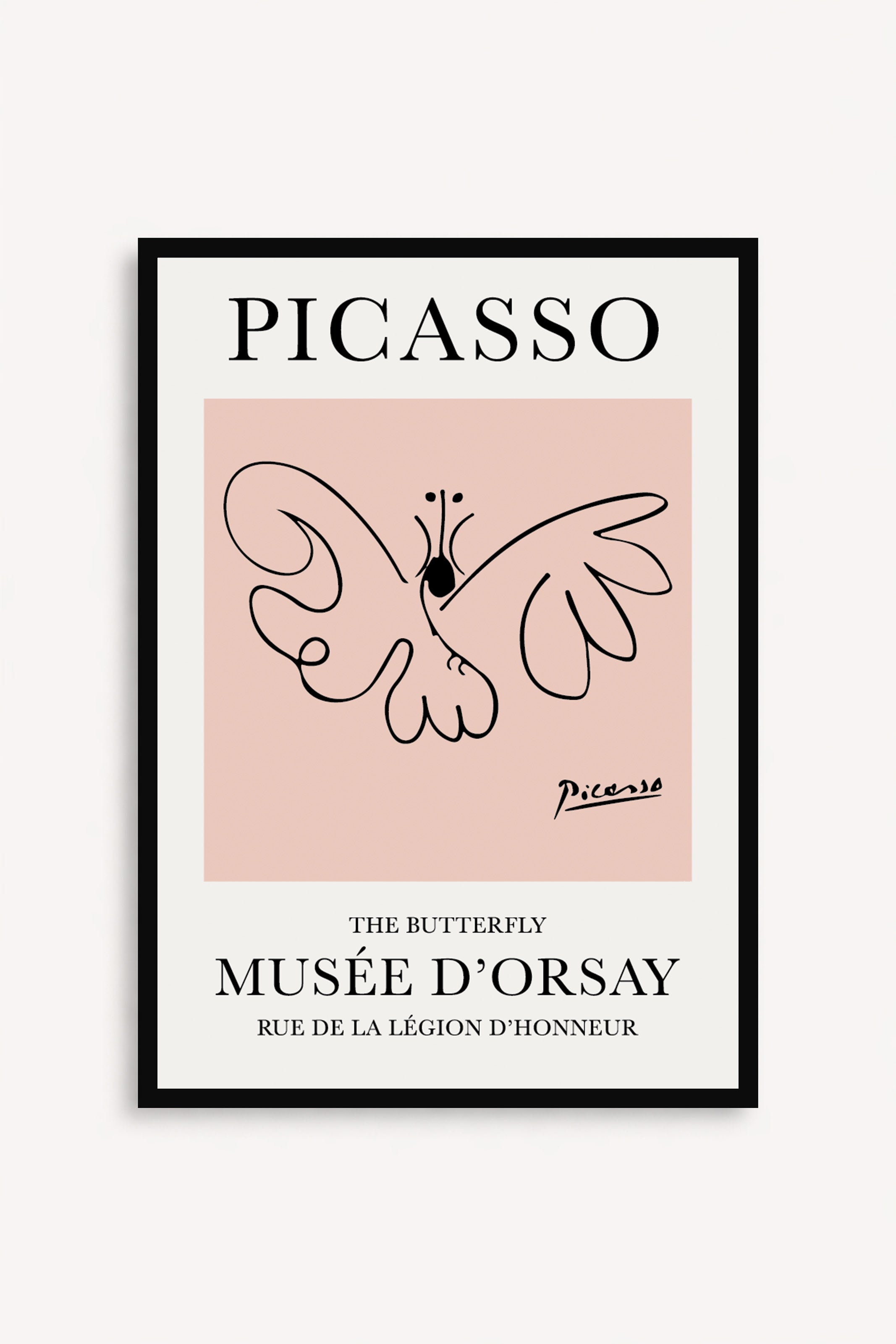 Mariposa Picasso