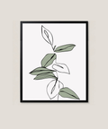 Mini Salvia 25 x 21 cm