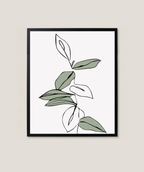 Mini Salvia 25 x 21 cm