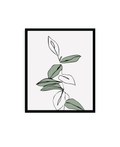 Mini Salvia 25 x 21 cm